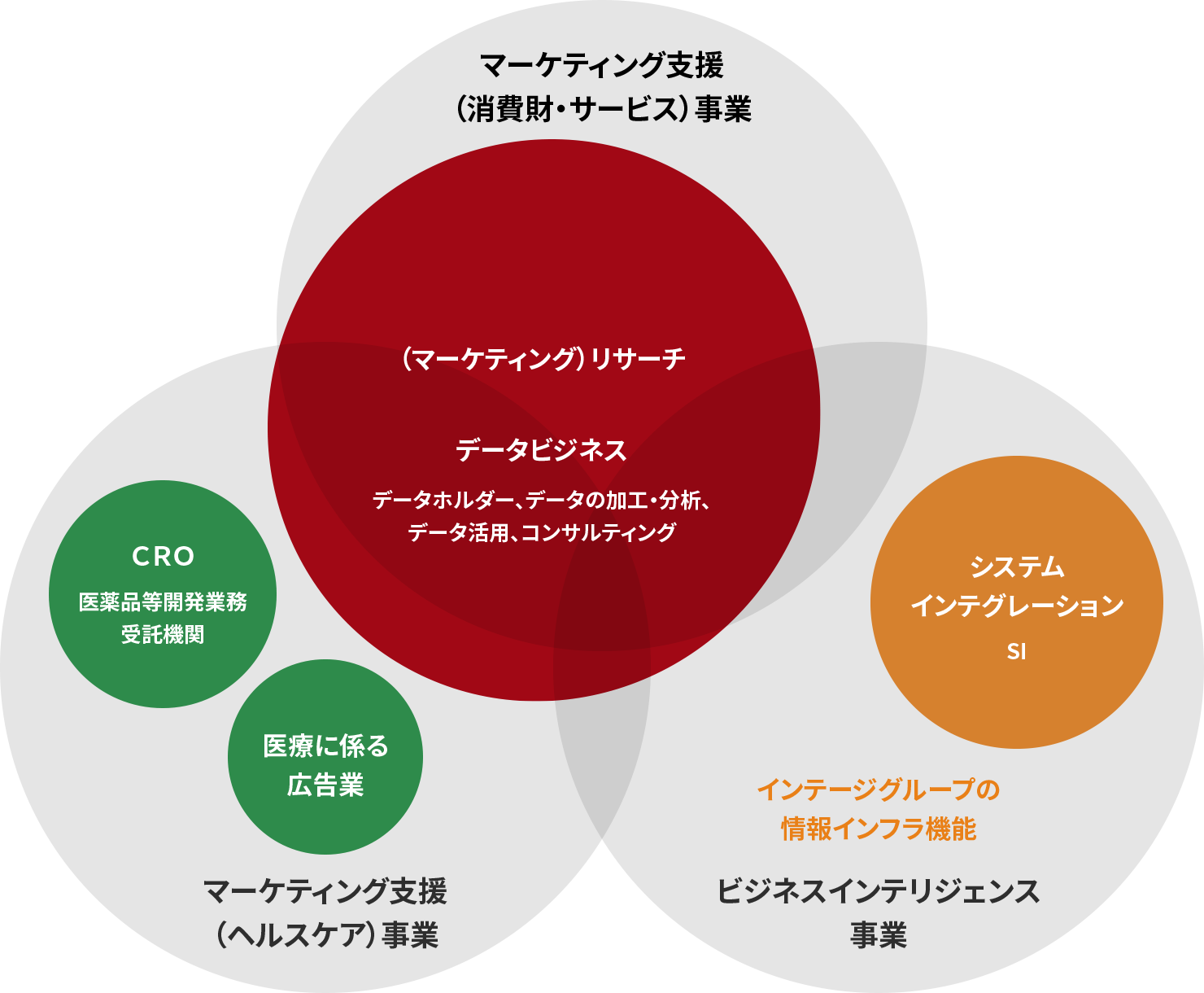 インテージグループの事業領域