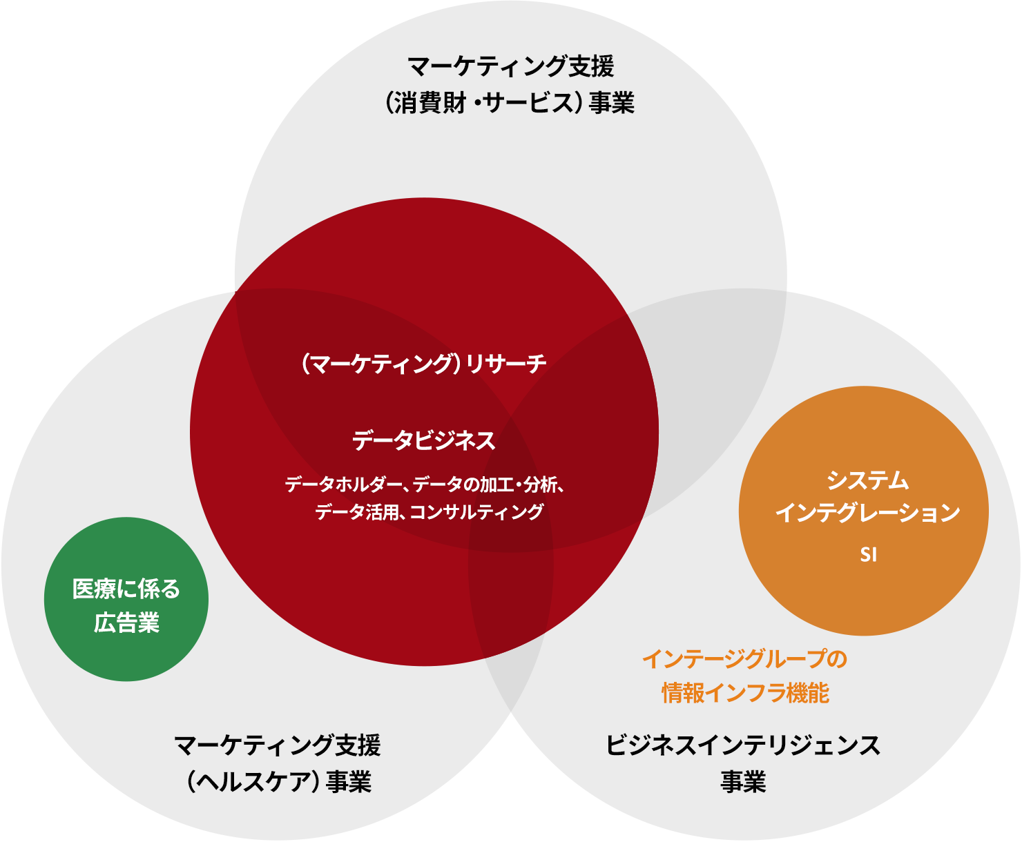 インテージグループの事業領域