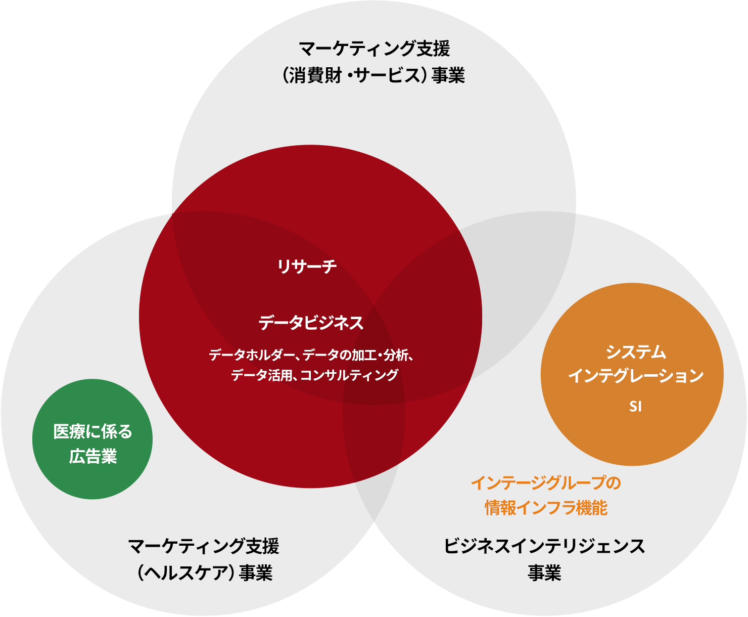 インテージグループの事業領域
