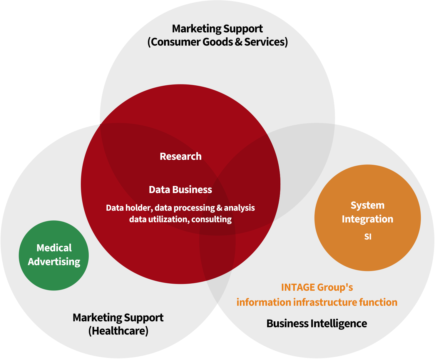 INTAGE Group's Business Areas
