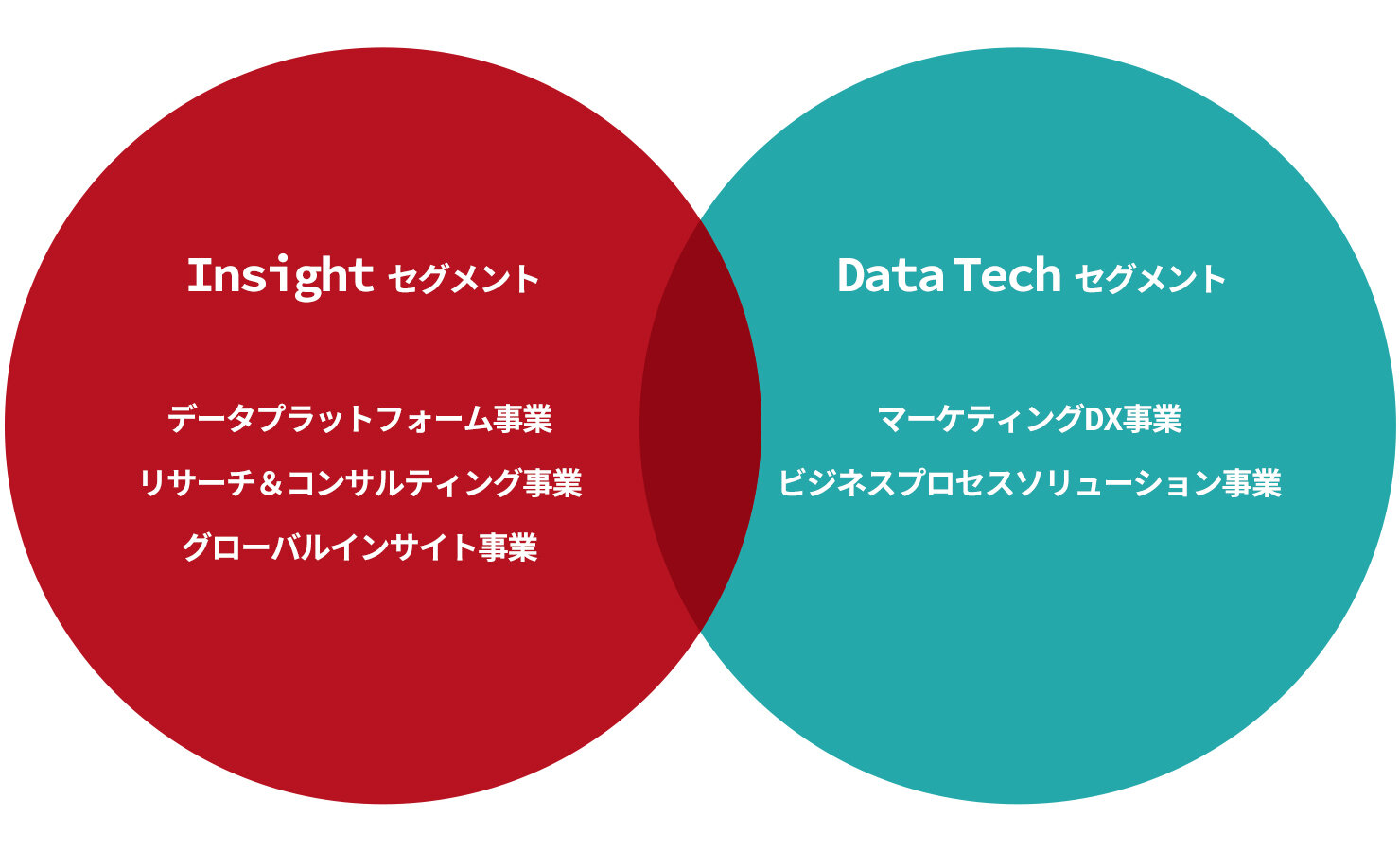 インテージグループの事業領域の図