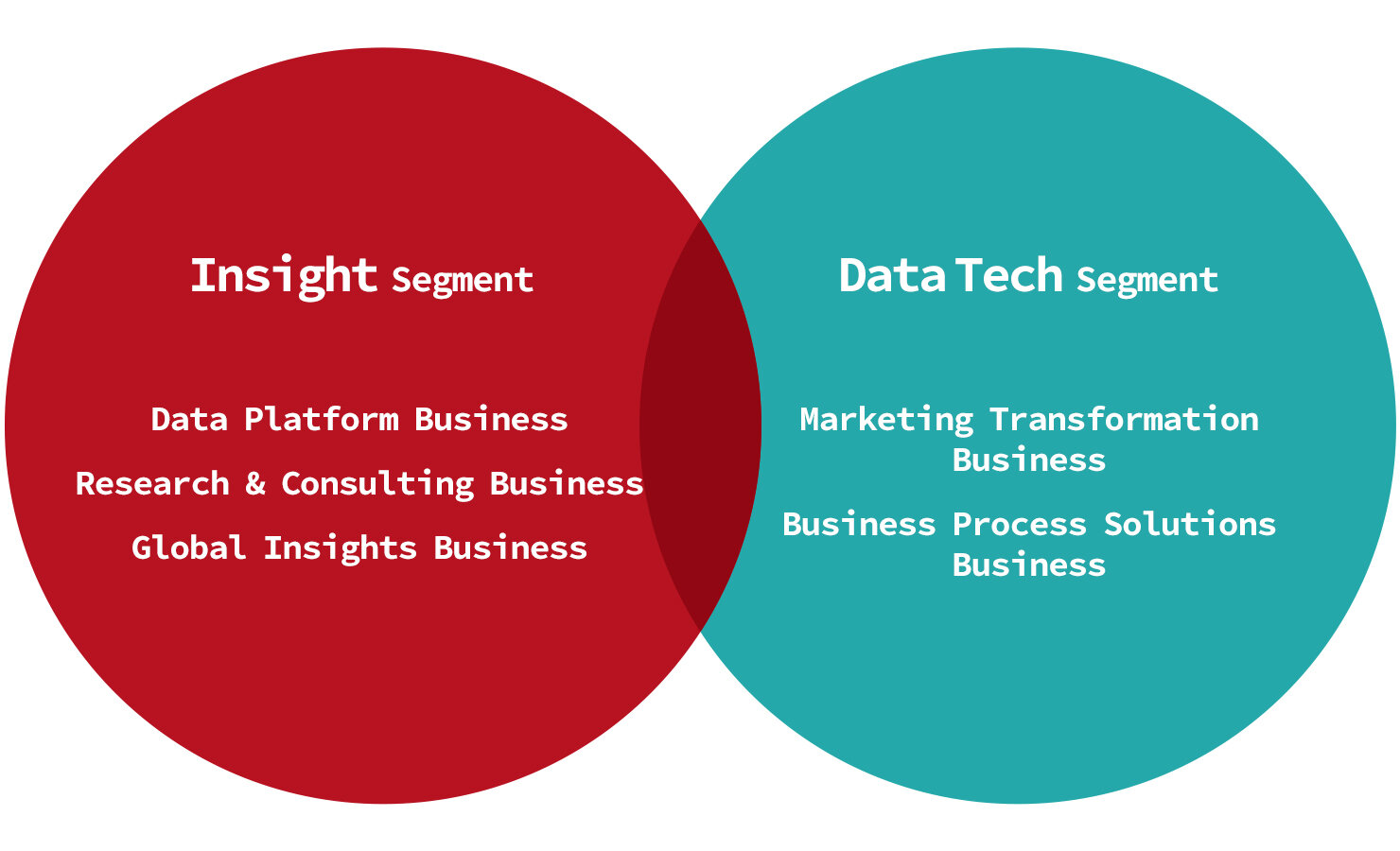 INTAGE Group's Business Areas
