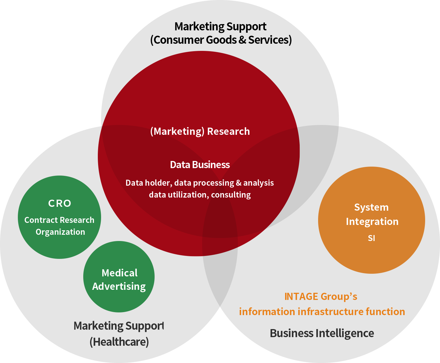 INTAGE Group's Business Areas