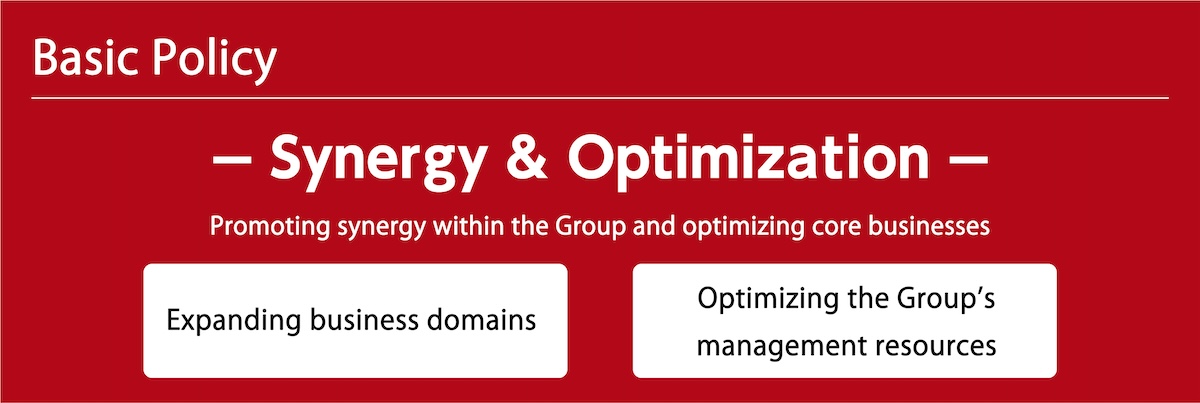 Basic Policy Synergy & Optimization